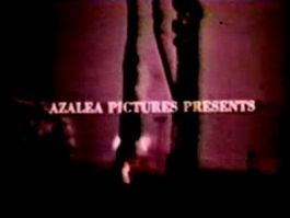 Azalea Pictures (1966)