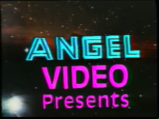 Angel Video (1990s)