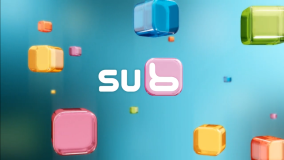 Sub (2010-2011)