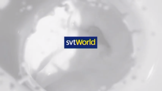 Yle Fem/SVT World (2012-2017) (Part 2)