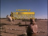 CBS Entertainment Productions (1990)